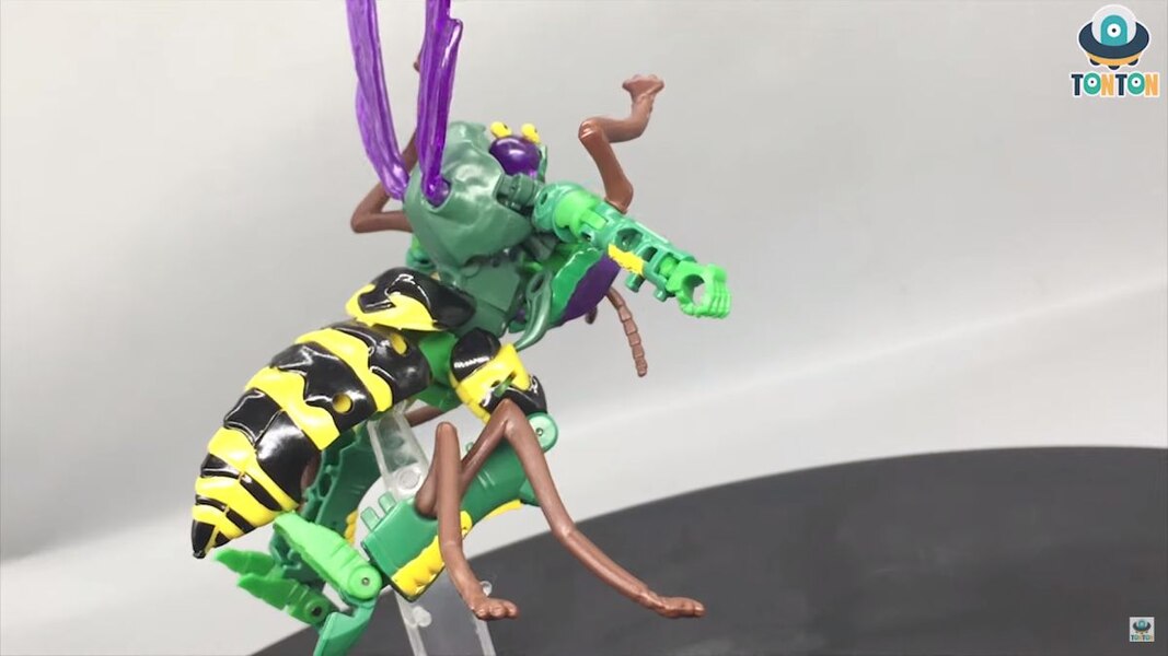 Transformers Kingdom Deluxe Class Waspinator  (25 of 38)